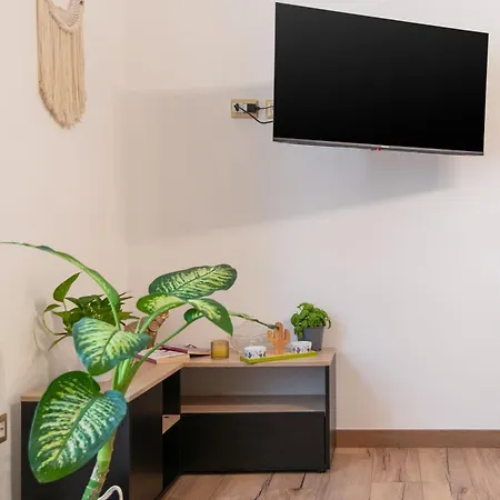 Lovely Vicino Al Mare E Ai Traghetti ソレント