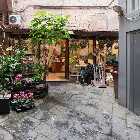 Lovely Vicino Al Mare E Ai Traghetti Апартаменты