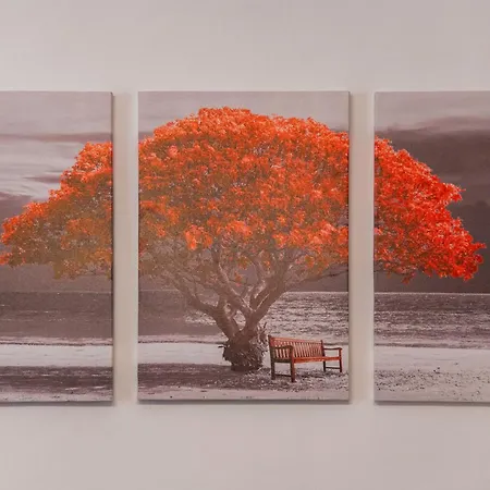 Lovely Vicino Al Mare E Ai Traghetti Sorrente